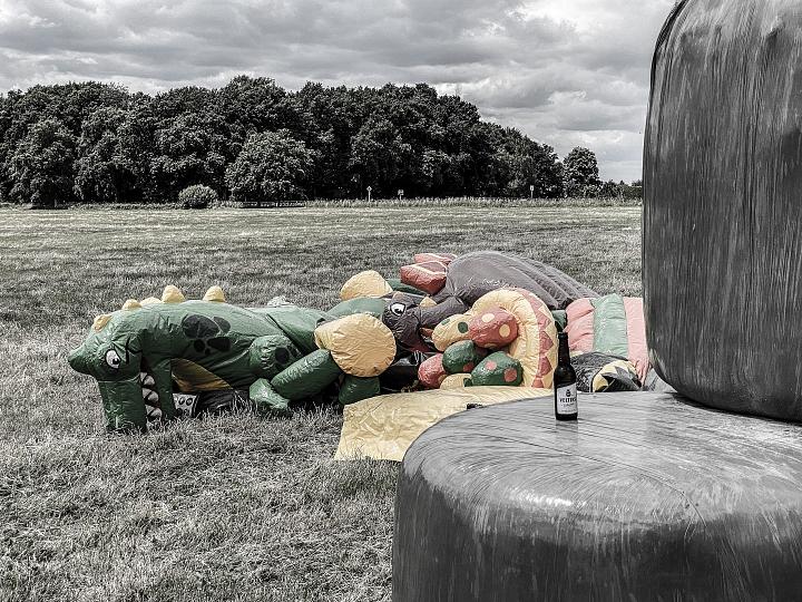 Bild: 20220625-135359.jpg